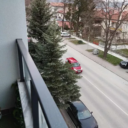 за гости боляри 2 *