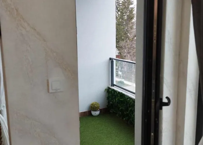 Daire за гости боляри 2